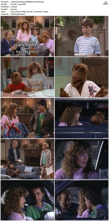 ALF S03 WEBRip x264-ION10