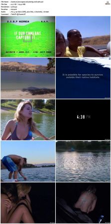 Lost Tapes S01 DVDRip XviD-OSiTV