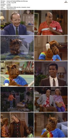 ALF S04 WEBRip x264-ION10