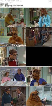 ALF S04 WEBRip x264-ION10