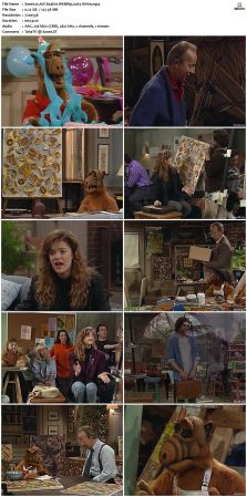 ALF S04 WEBRip x264-ION10