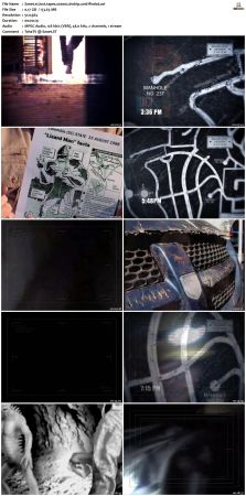 Lost Tapes S02 DVDRip XviD-FFNDVD
