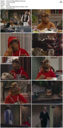 ALF S04 WEBRip x264-ION10
