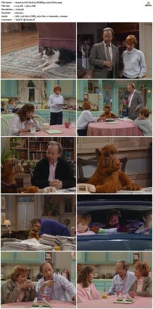 ALF S02 WEBRip x264-ION10