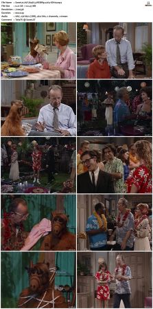 ALF S04 WEBRip x264-ION10