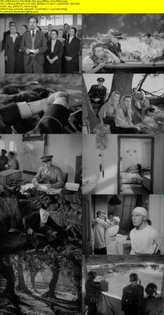 The North Star 1943 BRRip x264-ION10