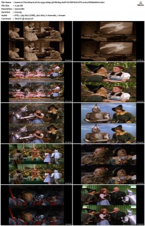 The Wizard of Oz 1939 1080p 3D BluRay Half-OU REPACK DTS x264-HDMaNiAcS