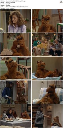 ALF S01 WEBRip x264-ION10