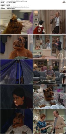 ALF S03 WEBRip x264-ION10