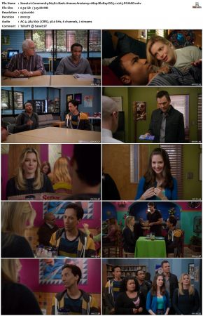 Community S04 1080p BluRay DD5 1 x265-POIASD