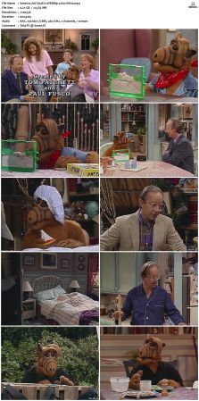 ALF S03 WEBRip x264-ION10