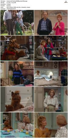 ALF S01 WEBRip x264-ION10