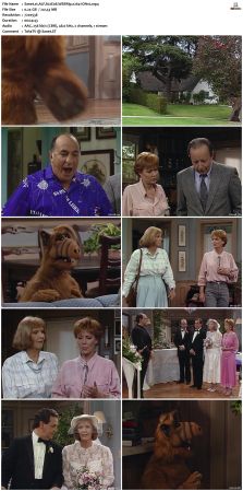 ALF S02 WEBRip x264-ION10