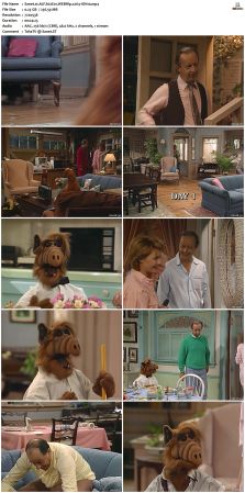 ALF S02 WEBRip x264-ION10