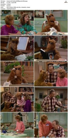 ALF S01 WEBRip x264-ION10