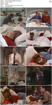 ALF S04 WEBRip x264-ION10