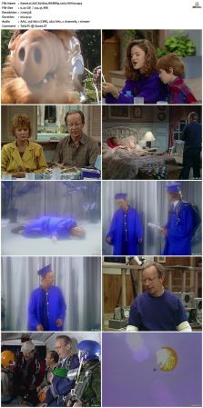 ALF S01 WEBRip x264-ION10