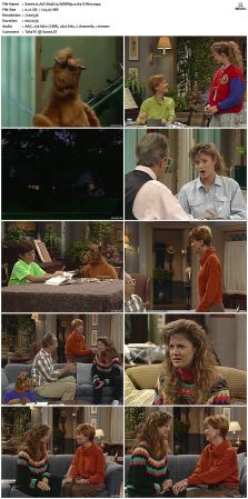 ALF S04 WEBRip x264-ION10