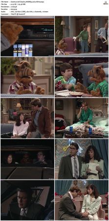 ALF S04 WEBRip x264-ION10