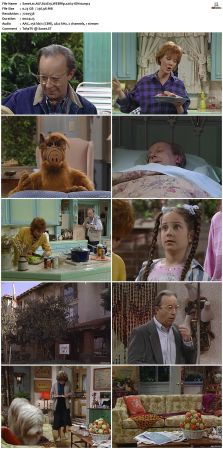 ALF S02 WEBRip x264-ION10