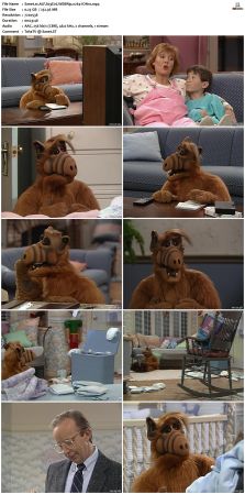 ALF S03 WEBRip x264-ION10