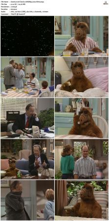 ALF S02 WEBRip x264-ION10