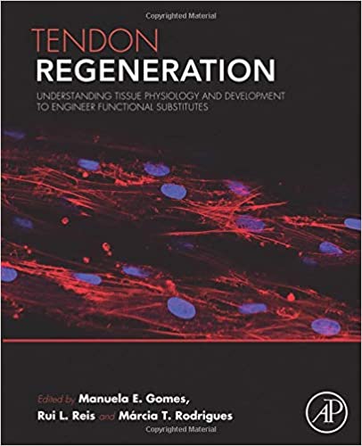 Tendon Regeneration: Understanding Tissue Physiology and Development to Engineer Functional Substitutes