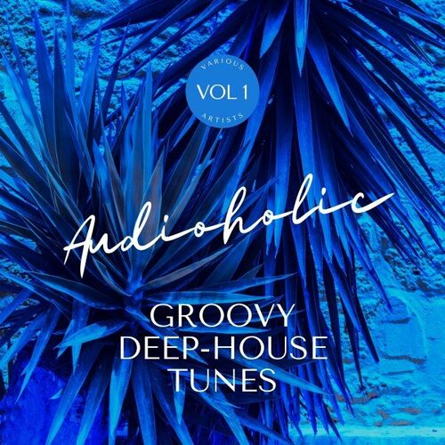 Various Artists - Audioholic (Groovy Deep-House Tunes) Vol.1 (2022)