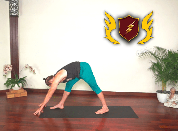 The Collective Yoga - Going Pro Series: Wisdom