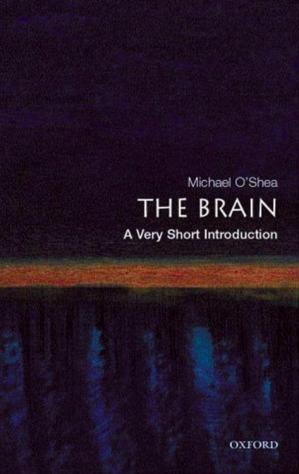 The Brain: A Very Short IntroductionEPUB