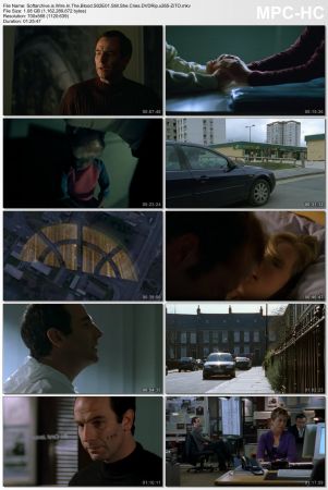 Wire in the Blood S02 DVDRip x265-ZiTO