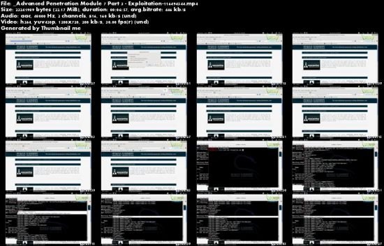 Cybrary - Advanced Penetration Testing