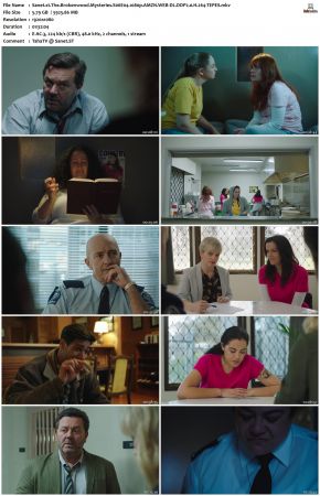 The Brokenwood Mysteries S06 1080p AMZN WEBRip DDP2.0 x264-TEPES