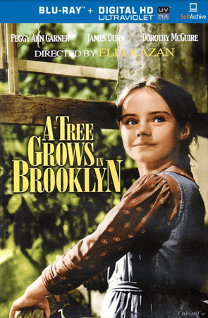 A Tree Grows in Brooklyn 1945 INTERNAL 1080p BluRay X264-AMIABLE