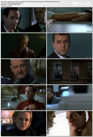 Wire in the Blood S01 DVDRip x265-ZiTO