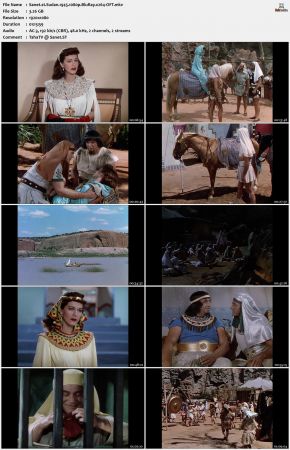 Sudan 1945 1080p BluRay x264-OFT