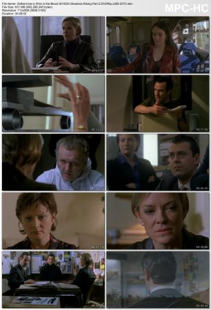 Wire in the Blood S01 DVDRip x265-ZiTO