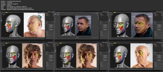 Facial Anatomy &amp; Character Portrait for Blender Artists