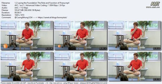 Yoga International - Anatomy and Integration in Yoga