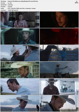 The Rider 2017 1080p BluRay DTS x264-HDS