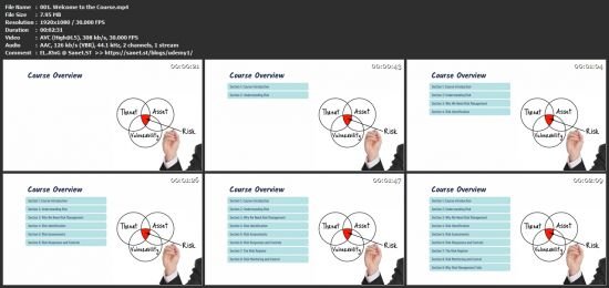 Risk Management 101 for IT Professionals: Essential Concepts