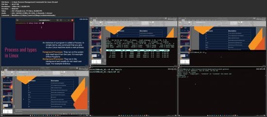 Ubuntu Linux Command Line use in bioinformatics for beginner