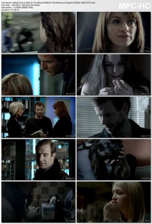 Wire in the Blood S05 DVDRip x265-ZiTO