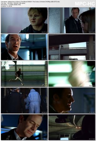 Wire in the Blood S05 DVDRip x265-ZiTO