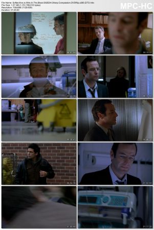 Wire in the Blood S02 DVDRip x265-ZiTO