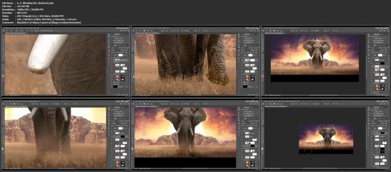 Photoshop advanced manipulation course
