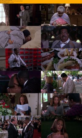 Nutty Professor Duology 1080p BRRip x264 AC3 DiVERSiTY