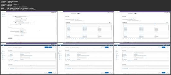 SAP Ariba Simplified Procurement &amp; Supply Chain Solutions