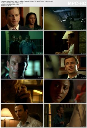 Wire in the Blood S06 DVDRip x265-ZiTO