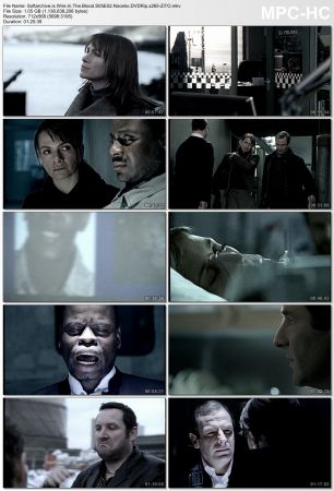 Wire in the Blood S05 DVDRip x265-ZiTO